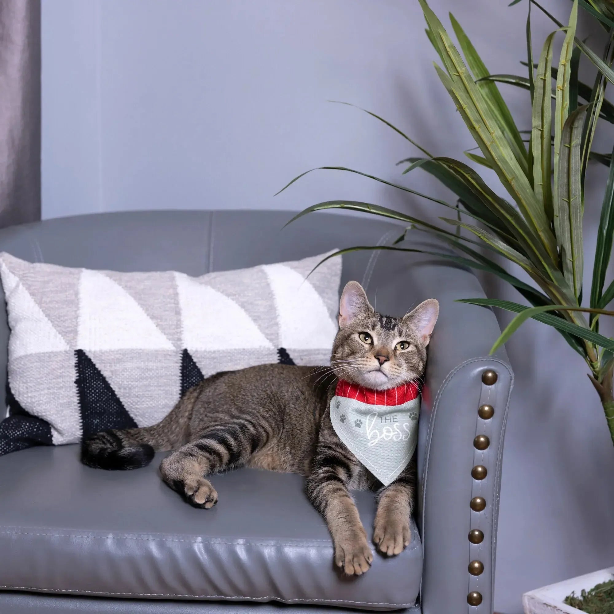 Pavilion Canvas Pet Bandana